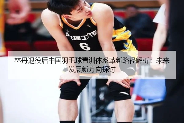 林丹退役后中国羽毛球青训体系革新路径解析：未来发展新方向探讨