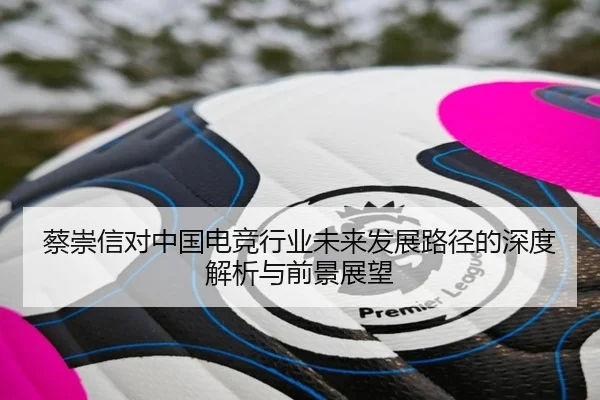 蔡崇信对中国电竞行业未来发展路径的深度解析与前景展望