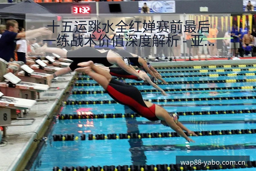 十五运跳水全红婵赛前最后一练战术价值深度解析 - 亚博体育官网